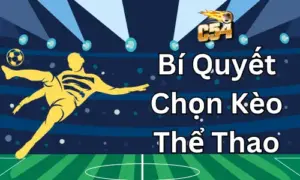 Bí Quyết Chọn Kèo Thể Thao