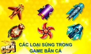 các loại súng trong game bắn các c54